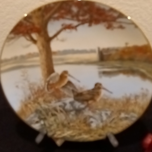 Collection Plate - Picture 9 of 10